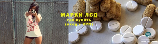 гидра Михайловск
