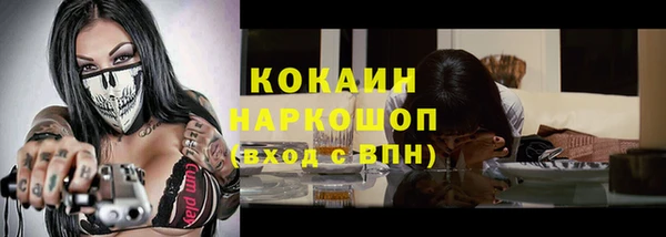 гидра Михайловск