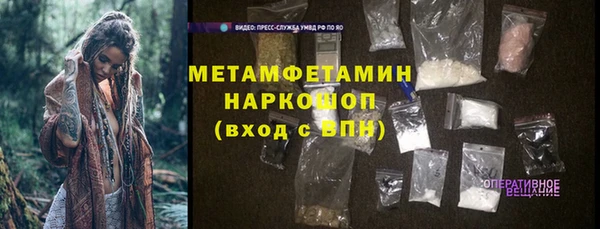 гидра Михайловск