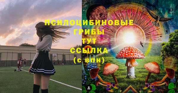гидра Михайловск