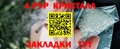 индика Заводоуковск