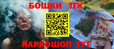 индика Заводоуковск