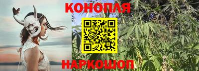 ПСИЛОЦИБИНОВЫЕ ГРИБЫ Балахна