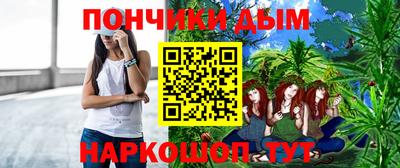 индика Заводоуковск