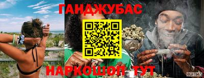 индика Заводоуковск