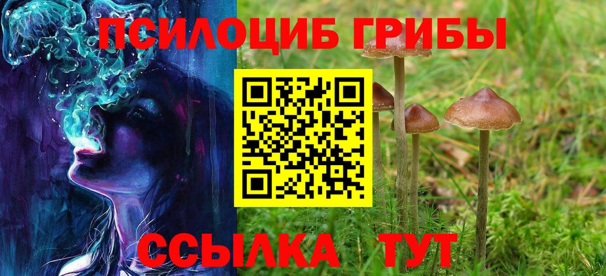 Галлюциногенные грибы ЛСД  Котельники 