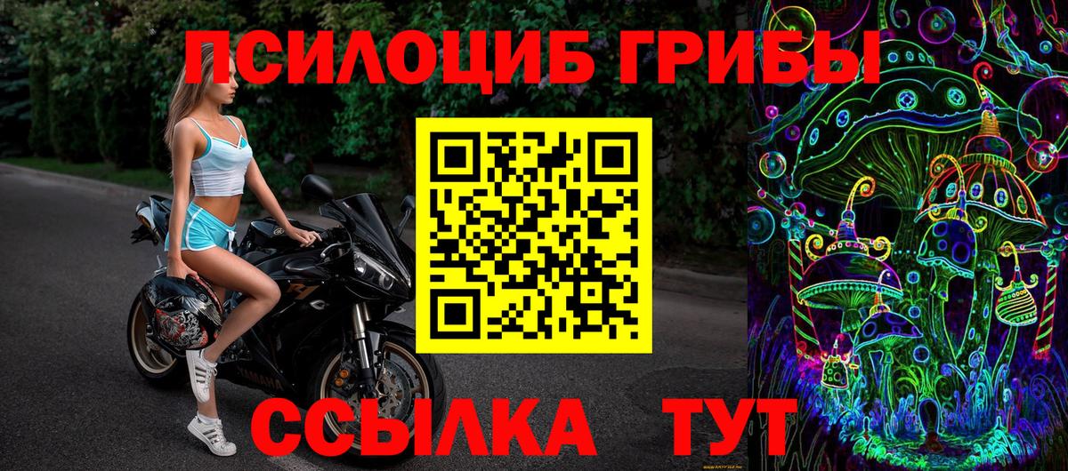 Галлюциногенные грибы мицелий Котельники