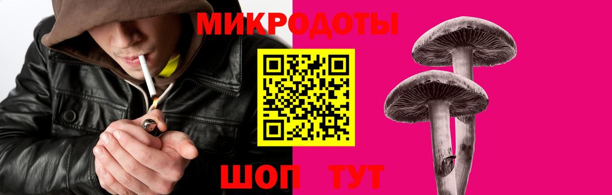 Псилоцибиновые грибы Psilocybine cubensis  Вход с VPN  Котельники 